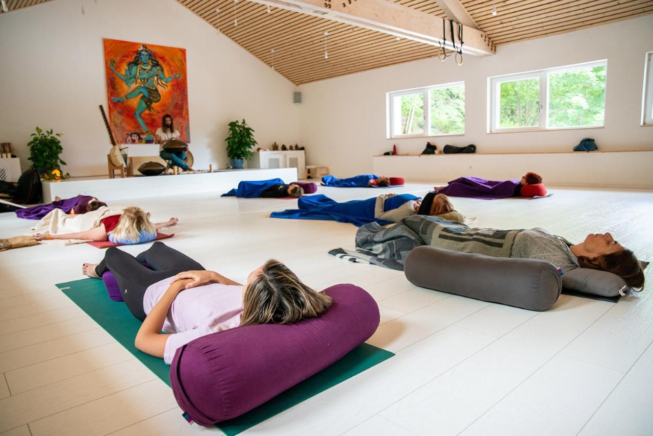 Sanskriti Hotell Scionzier Exteriör bild